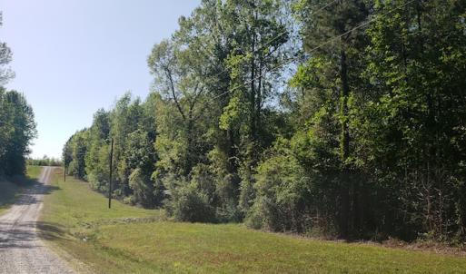 Photo #27 of SOLD property in Off Gaston Hills Lane, Gaston, NC 11.5 acres