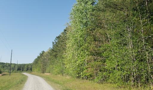Photo #28 of SOLD property in Off Gaston Hills Lane, Gaston, NC 11.5 acres
