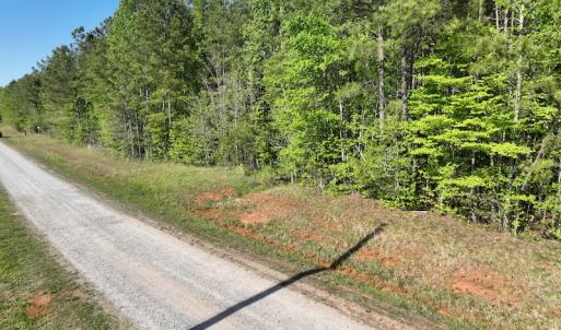 Photo #29 of SOLD property in Off Gaston Hills Lane, Gaston, NC 11.5 acres