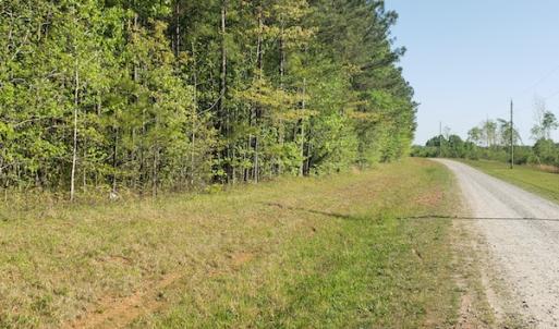 Photo #30 of SOLD property in Off Gaston Hills Lane, Gaston, NC 11.5 acres