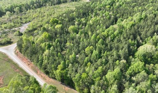 Photo #6 of SOLD property in Off Gaston Hills Lane, Gaston, NC 11.5 acres
