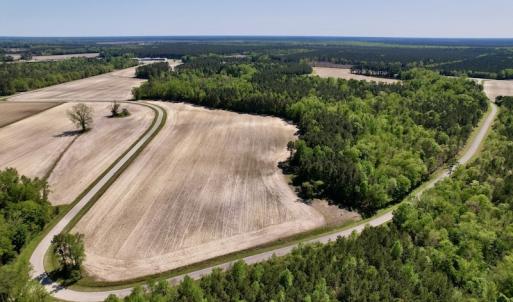 Photo #10 of SOLD property in Off Highway 58, Trenton, NC 418.0 acres