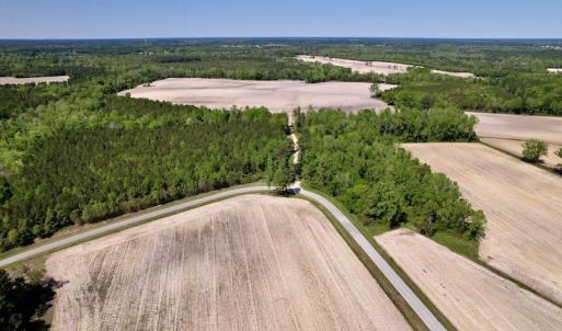 Photo #12 of SOLD property in Off Highway 58, Trenton, NC 418.0 acres