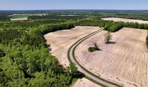 Photo #14 of SOLD property in Off Highway 58, Trenton, NC 418.0 acres