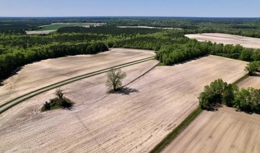 Photo #15 of SOLD property in Off Highway 58, Trenton, NC 418.0 acres