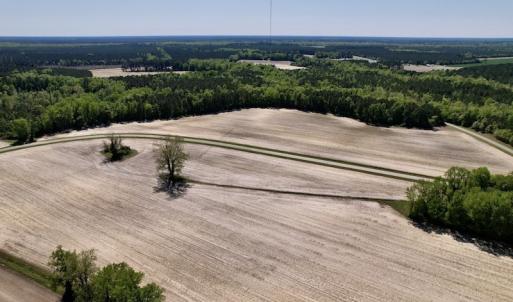 Photo #16 of SOLD property in Off Highway 58, Trenton, NC 418.0 acres