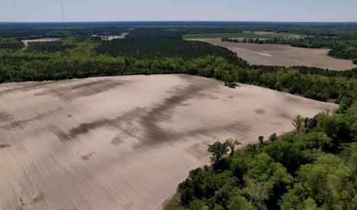 Photo #17 of SOLD property in Off Highway 58, Trenton, NC 418.0 acres