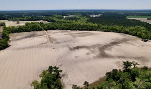 Photo #18 of SOLD property in Off Highway 58, Trenton, NC 418.0 acres