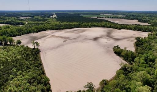 Photo #19 of SOLD property in Off Highway 58, Trenton, NC 418.0 acres