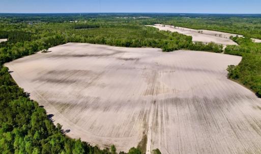Photo #20 of SOLD property in Off Highway 58, Trenton, NC 418.0 acres