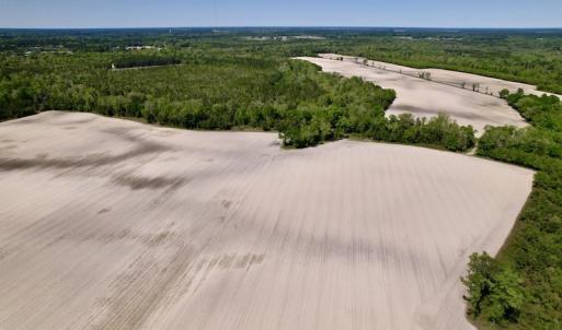 Photo #21 of SOLD property in Off Highway 58, Trenton, NC 418.0 acres
