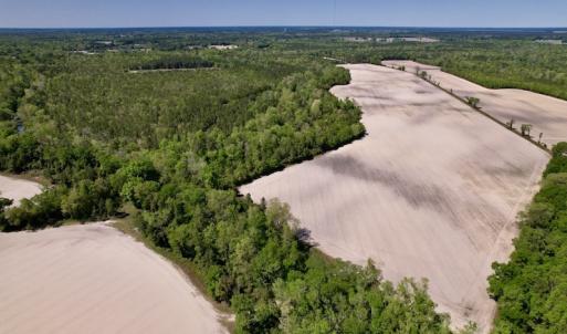 Photo #22 of SOLD property in Off Highway 58, Trenton, NC 418.0 acres