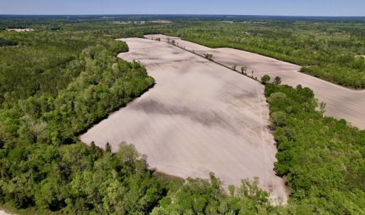 Photo #23 of SOLD property in Off Highway 58, Trenton, NC 418.0 acres