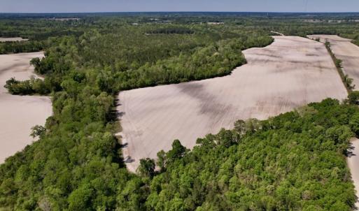 Photo #24 of SOLD property in Off Highway 58, Trenton, NC 418.0 acres