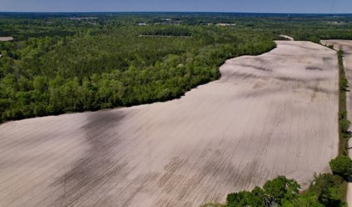 Photo #25 of SOLD property in Off Highway 58, Trenton, NC 418.0 acres