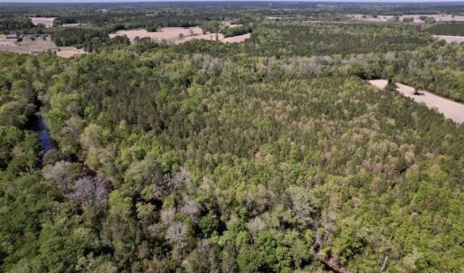 Photo #26 of SOLD property in Off Highway 58, Trenton, NC 418.0 acres