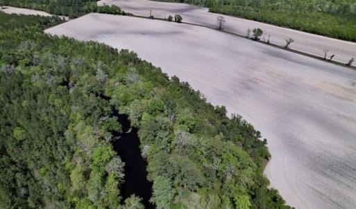 Photo #27 of SOLD property in Off Highway 58, Trenton, NC 418.0 acres