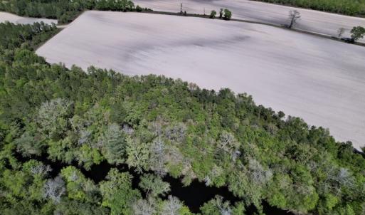 Photo #28 of SOLD property in Off Highway 58, Trenton, NC 418.0 acres