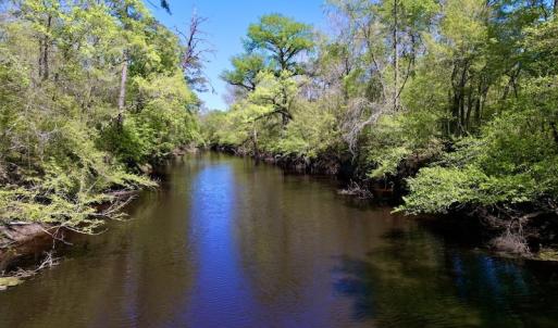 Photo #33 of SOLD property in Off Highway 58, Trenton, NC 418.0 acres