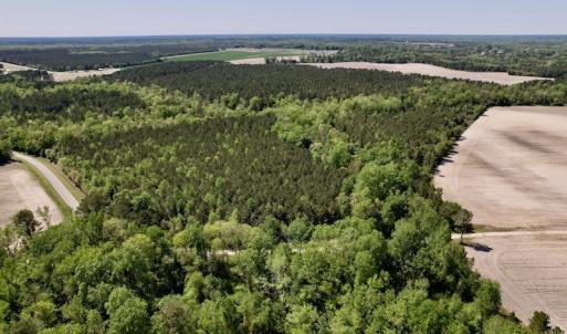 Photo #34 of SOLD property in Off Highway 58, Trenton, NC 418.0 acres