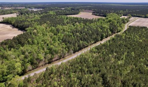 Photo #35 of SOLD property in Off Highway 58, Trenton, NC 418.0 acres