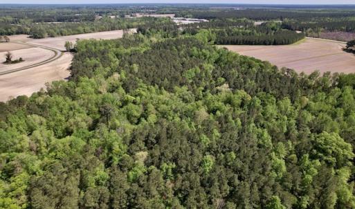 Photo #36 of SOLD property in Off Highway 58, Trenton, NC 418.0 acres