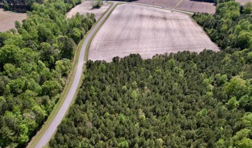 Photo #37 of SOLD property in Off Highway 58, Trenton, NC 418.0 acres