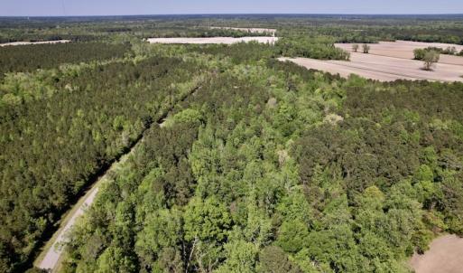 Photo #38 of SOLD property in Off Highway 58, Trenton, NC 418.0 acres
