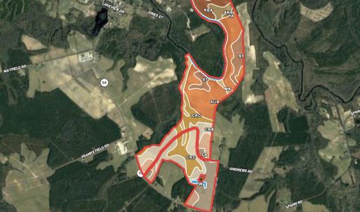 Photo #42 of SOLD property in Off Highway 58, Trenton, NC 418.0 acres