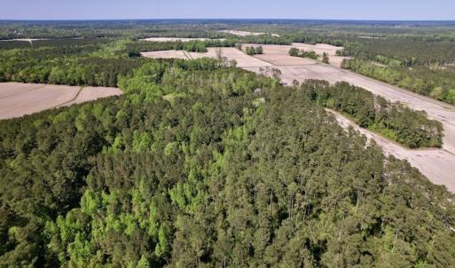 Photo #5 of SOLD property in Off Highway 58, Trenton, NC 418.0 acres