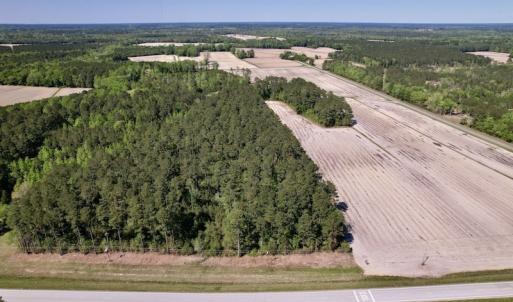 Photo #6 of SOLD property in Off Highway 58, Trenton, NC 418.0 acres