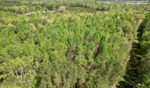 Photo #10 of SOLD property in Union Woods Dr, Brodnax, VA 25.7 acres