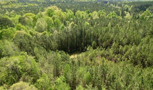 Photo #11 of SOLD property in Union Woods Dr, Brodnax, VA 25.7 acres