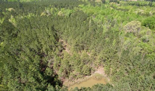Photo #12 of SOLD property in Union Woods Dr, Brodnax, VA 25.7 acres