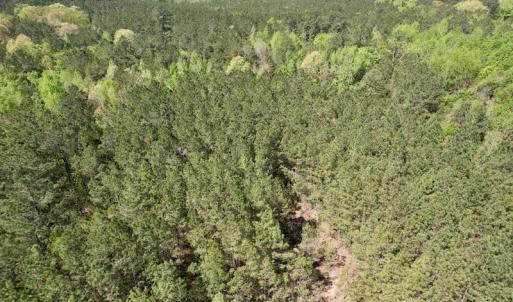 Photo #13 of SOLD property in Union Woods Dr, Brodnax, VA 25.7 acres