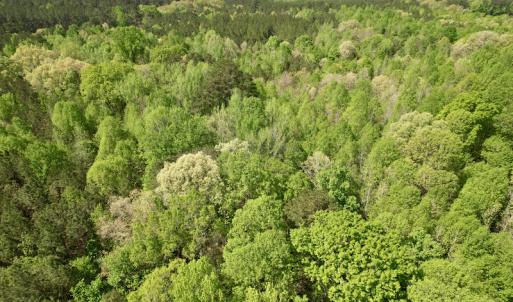 Photo #14 of SOLD property in Union Woods Dr, Brodnax, VA 25.7 acres