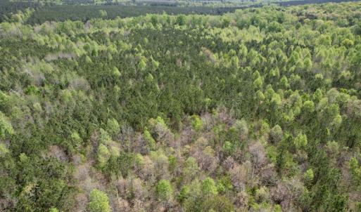 Photo #15 of SOLD property in Union Woods Dr, Brodnax, VA 25.7 acres