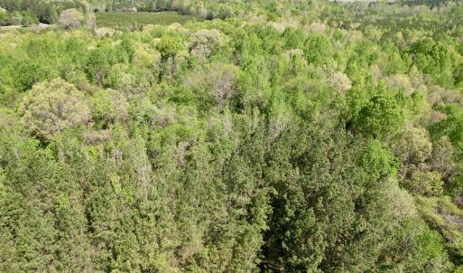 Photo #16 of SOLD property in Union Woods Dr, Brodnax, VA 25.7 acres