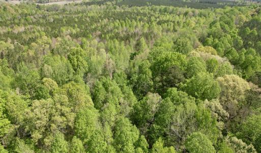 Photo #17 of SOLD property in Union Woods Dr, Brodnax, VA 25.7 acres