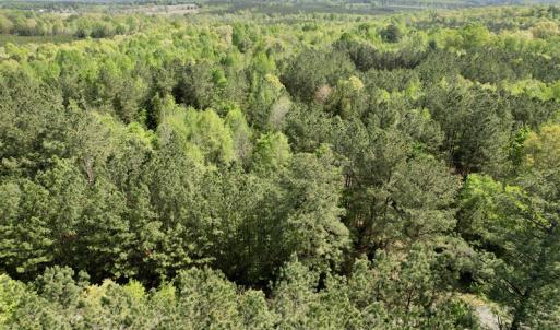 Photo #18 of SOLD property in Union Woods Dr, Brodnax, VA 25.7 acres
