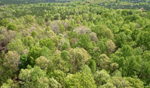 Photo #19 of SOLD property in Union Woods Dr, Brodnax, VA 25.7 acres