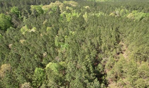 Photo #20 of SOLD property in Union Woods Dr, Brodnax, VA 25.7 acres