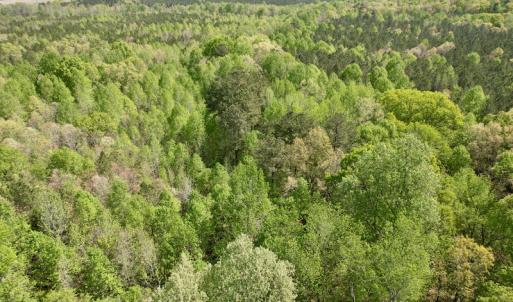 Photo #21 of SOLD property in Union Woods Dr, Brodnax, VA 25.7 acres