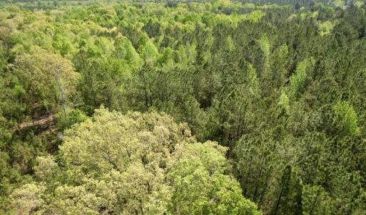 Photo #22 of SOLD property in Union Woods Dr, Brodnax, VA 25.7 acres