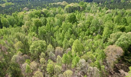 Photo #24 of SOLD property in Union Woods Dr, Brodnax, VA 25.7 acres