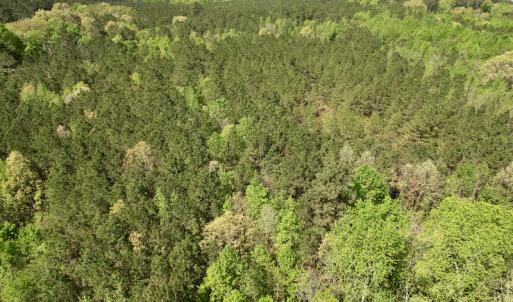 Photo #25 of SOLD property in Union Woods Dr, Brodnax, VA 25.7 acres