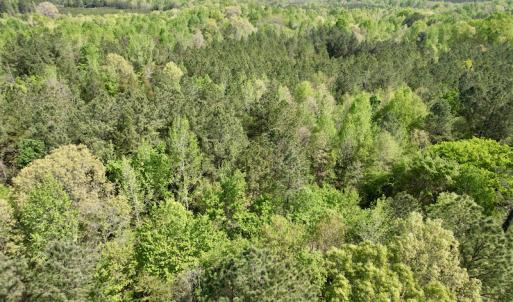 Photo #26 of SOLD property in Union Woods Dr, Brodnax, VA 25.7 acres
