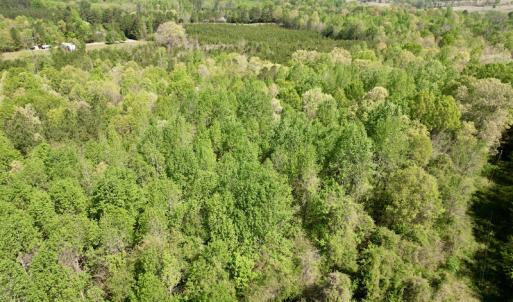 Photo #27 of SOLD property in Union Woods Dr, Brodnax, VA 25.7 acres