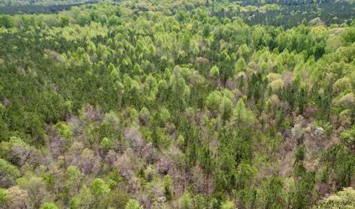 Photo #28 of SOLD property in Union Woods Dr, Brodnax, VA 25.7 acres