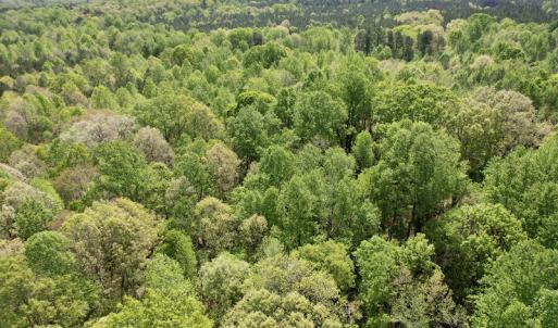 Photo #29 of SOLD property in Union Woods Dr, Brodnax, VA 25.7 acres